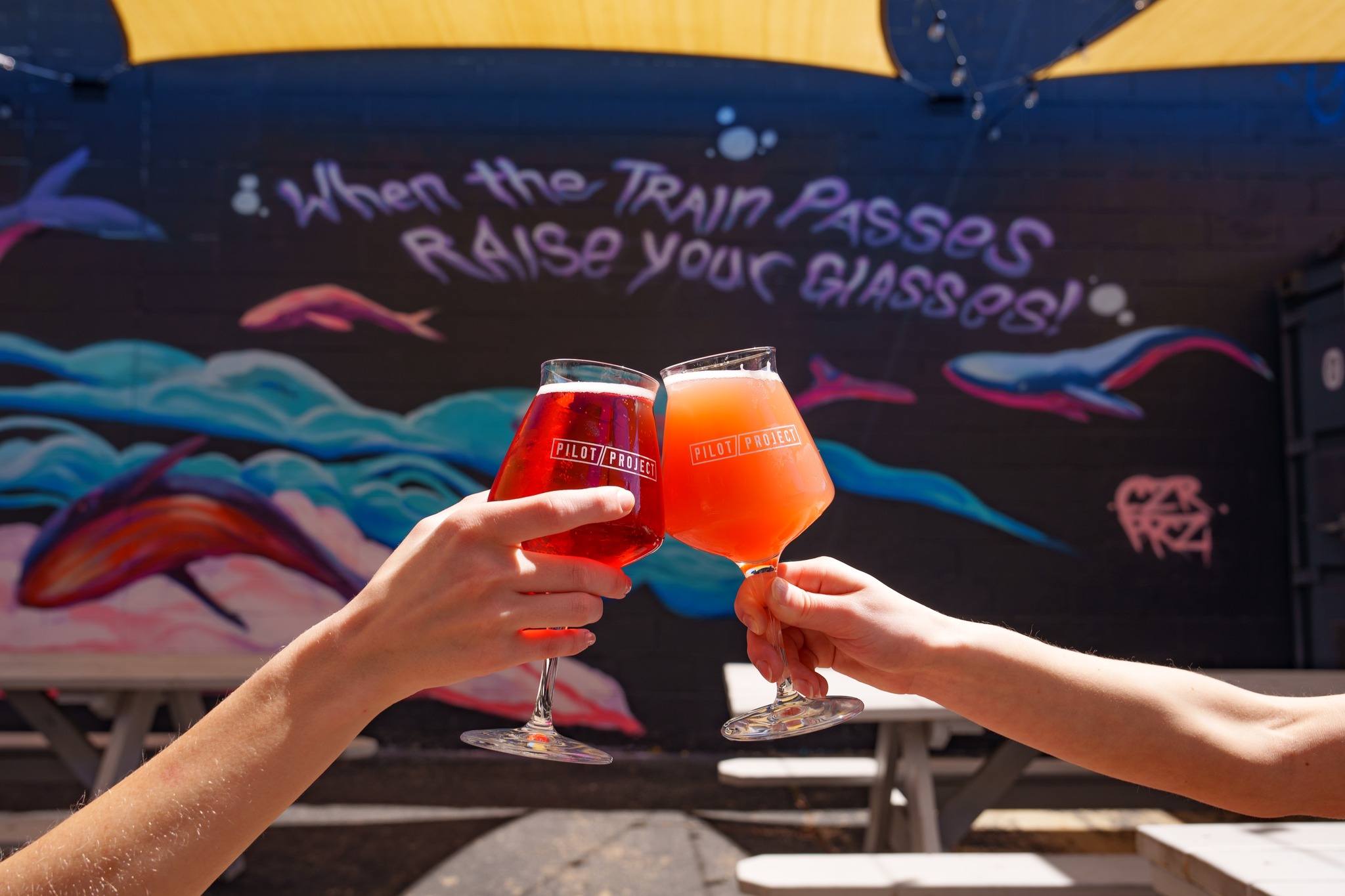 Pilot Project Brewing (coming soon)